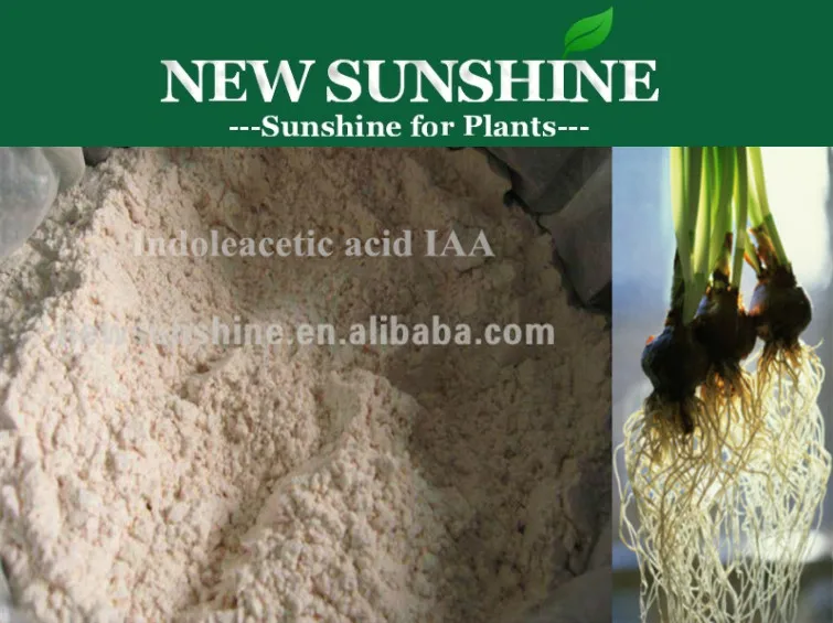 Профессиональный производитель МАА 99% укоренения гормона, высокое качество 3-стимулятор роста корня уксусной кислоты регулятор