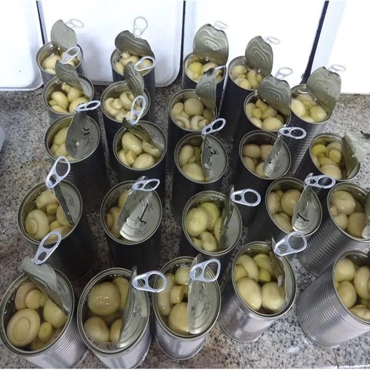 High quality  canned mushrooms champignon wholes