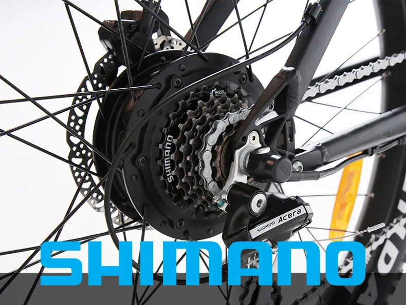 PETRIGO Factory Directly New Designs Battery Fat Tire Sport Downhill Mountain Electric Bike Electric Bike