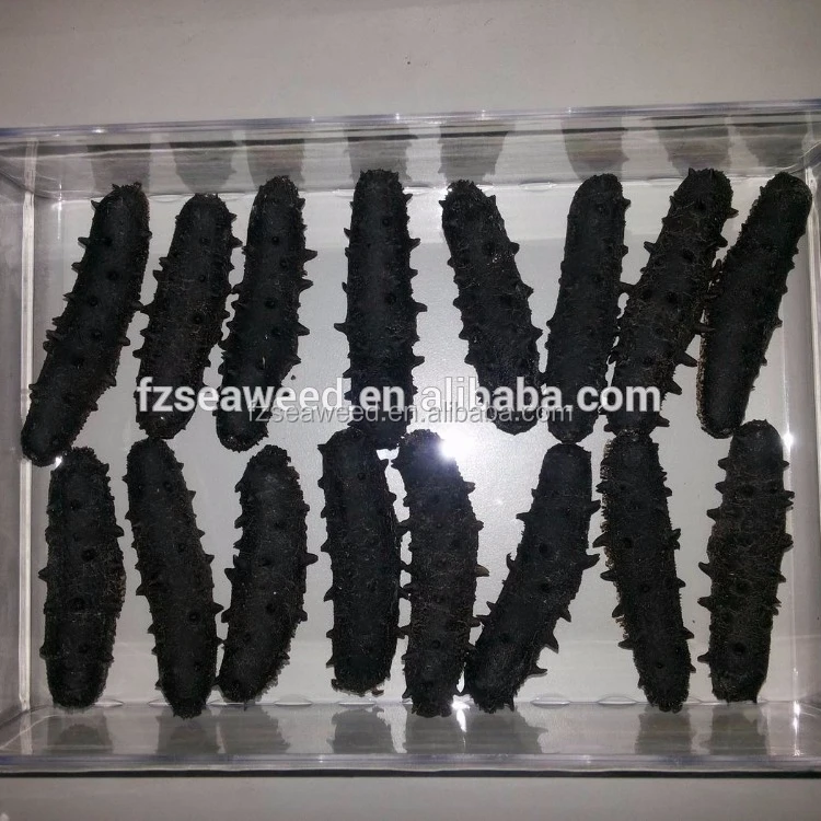 High Quality Dried Sea Cucumber From Taiwan Strait