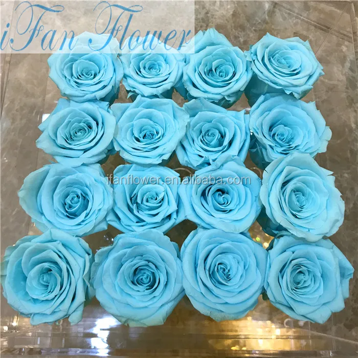 iFan Japan flower wholesale preserved roses