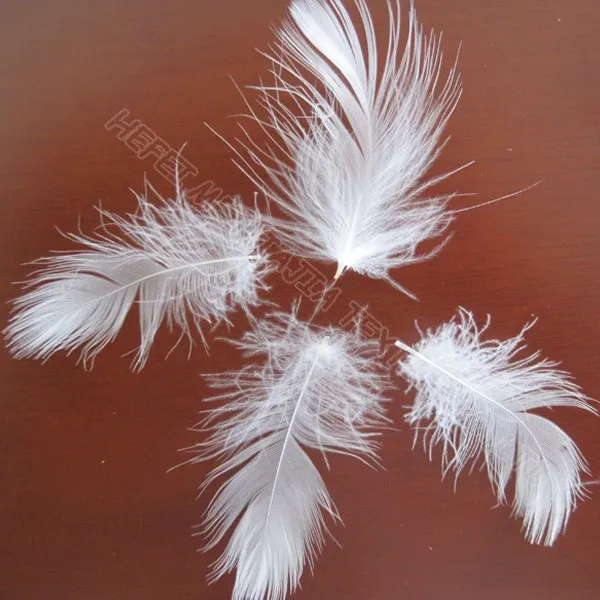 
Hot sale washed white duck feather 2-4CM cheap fill 