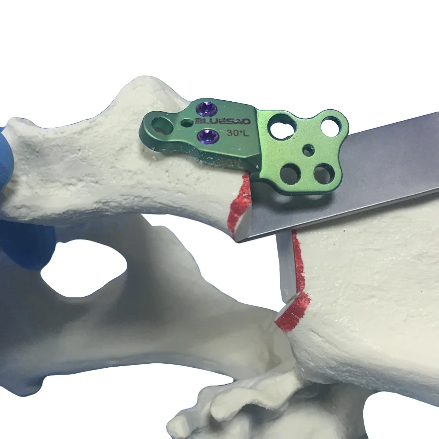 BlueSAO DPO plate 30 degree left&right titanium for veterinary surgery use small animal orthopedic instruments