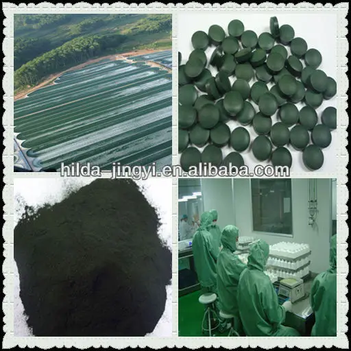 
Healthy blue green algae Spiruline (spirulina) powder 