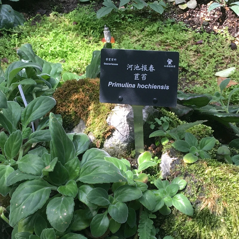 Custom Anodize Laser Engraved Aluminum Signs Aluminum Labels Aluminum Tags