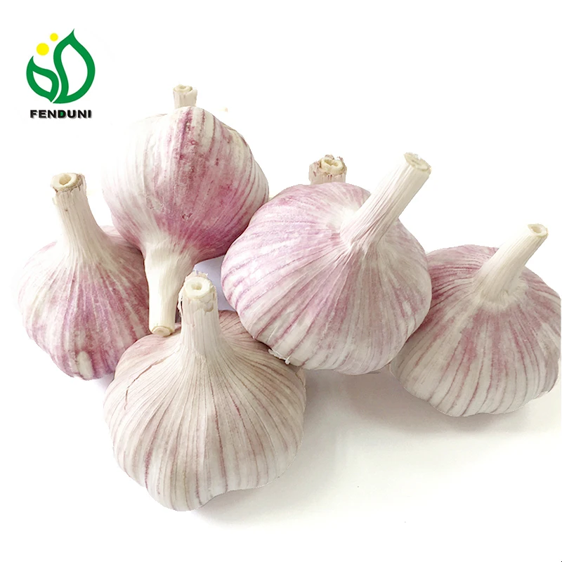 
Garlic for Export and Import (Bangladesh, Sri Lanka market) 