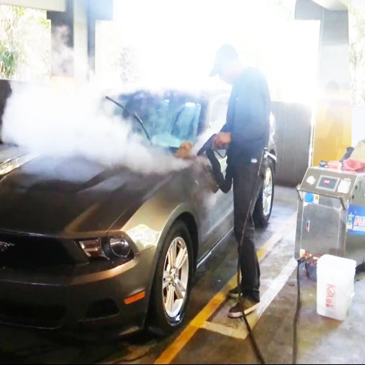 Professional Factory Manufacturer of Steam Car Washer