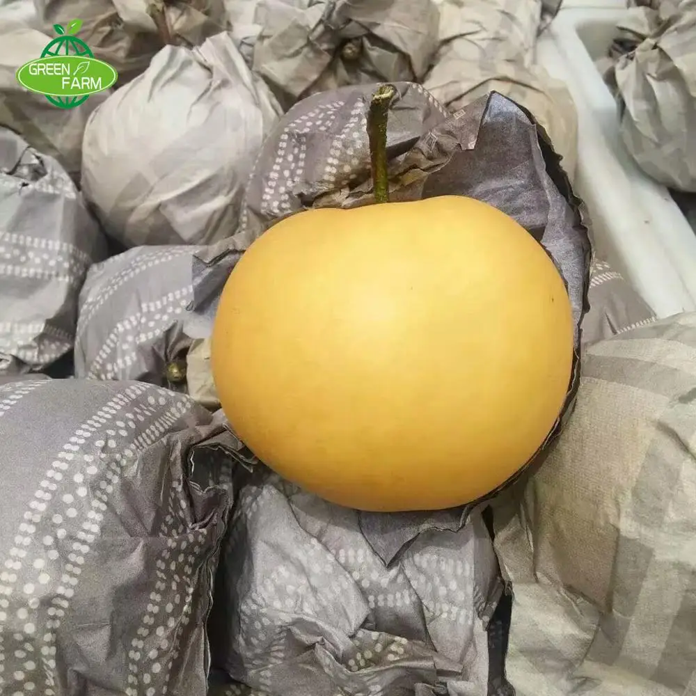 High quality pear in bulk of 300-500g