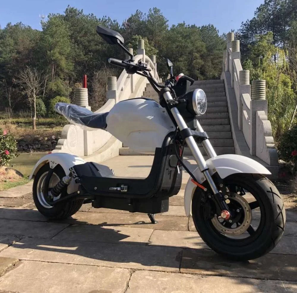 
1500W smart citycoco electric scooter for adult 