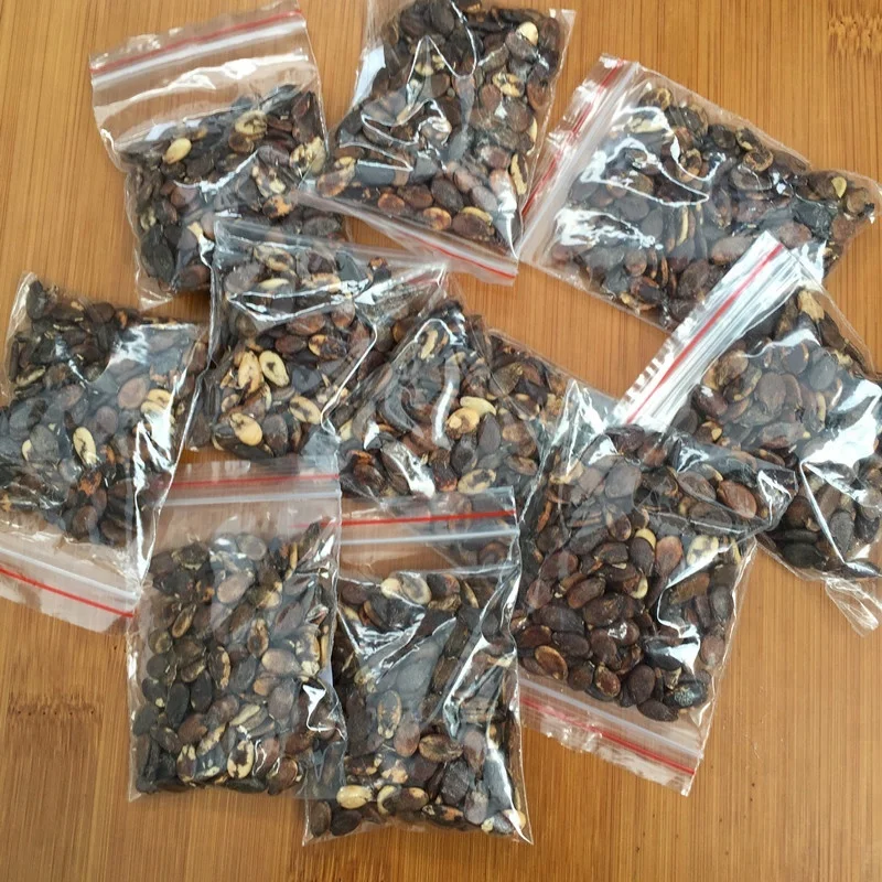 2021 High Disease Resistance Densuke Black Watermelon Seeds For Planting