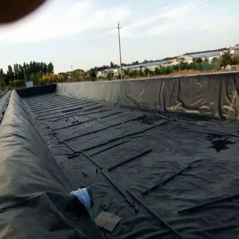 Dam Liners for Catfish Farming