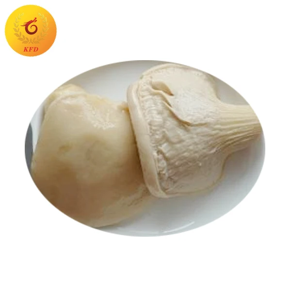 
Canned Bailing Mushroom in Brine Price 
