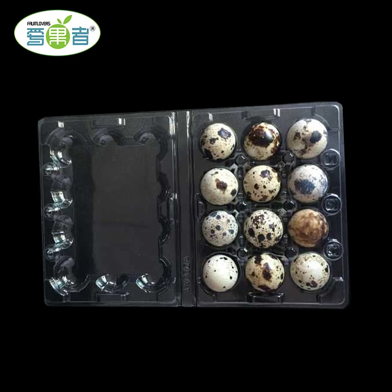12 Quail Egg Tray Plastic