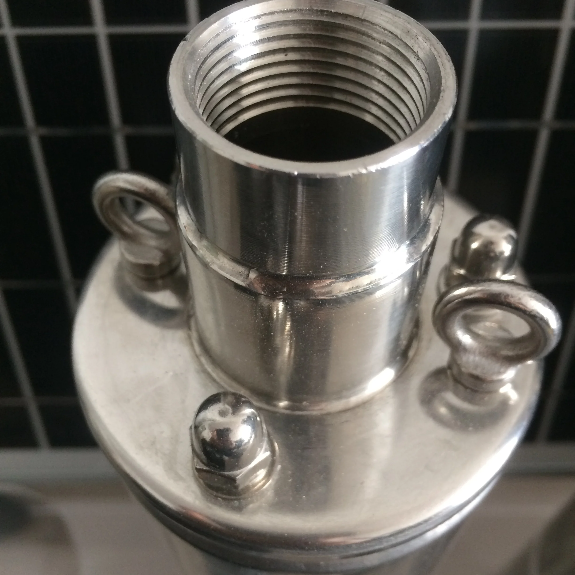 3SSH1.6/80-D36/400 0.5HP brushless dc solar screw water pump solar irrigation pump