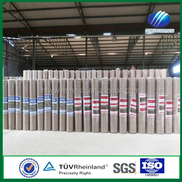 Alibaba China Anping factory direct supplier galvanized welded wire mesh in roll for bird cages