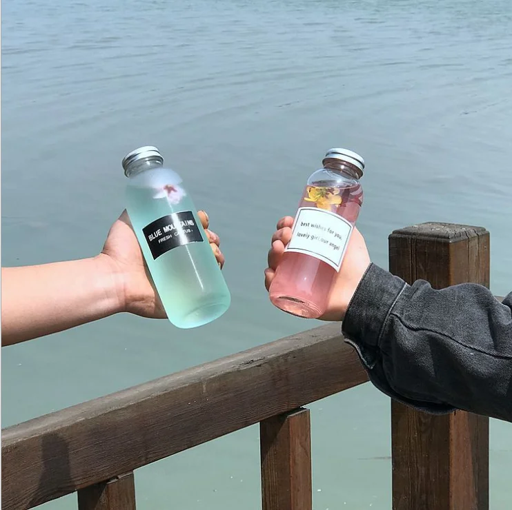 Spot 300ml  500ml High Quality glass drink water bottle