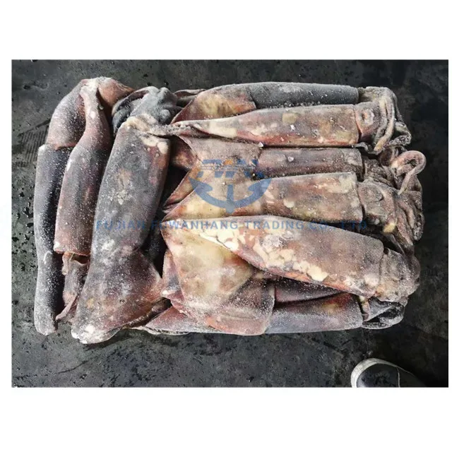 
Seafrozen jig catching Frozen equator squid 