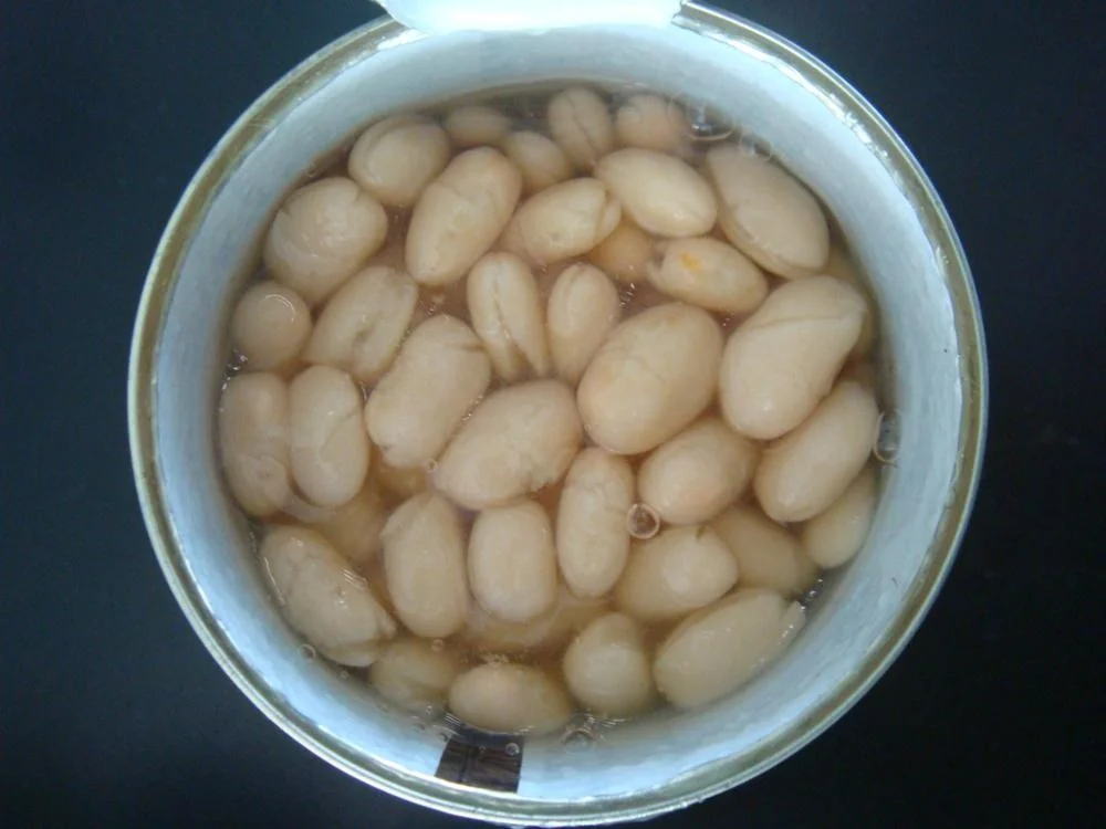 
Canned White Kidney beans in brine 