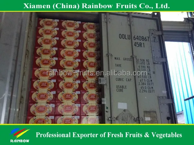 
fresh citrus/fresh mandarin/chinese lokam/honey mandarin 