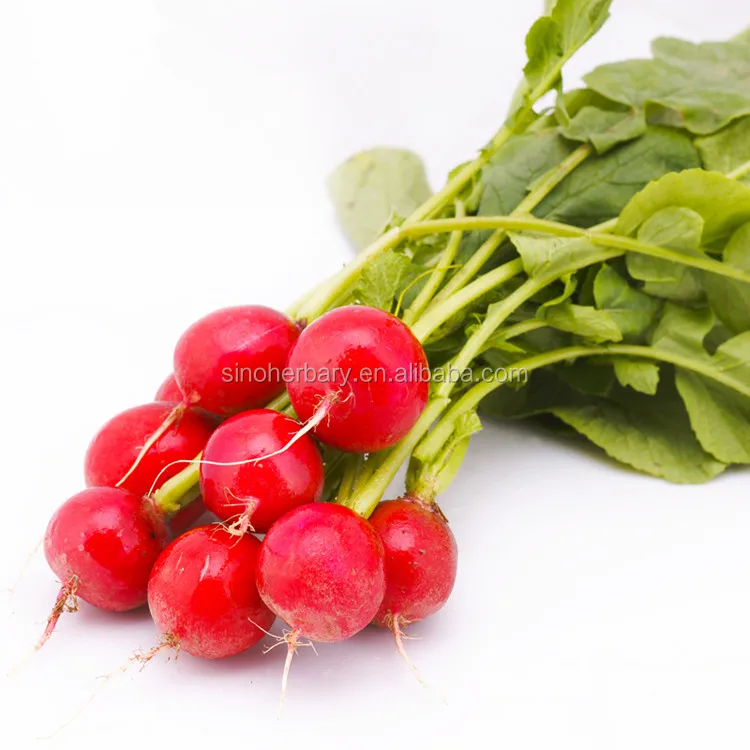 2021 High Grade Vegetable Seed, Little Red Radish Seeds For Planting