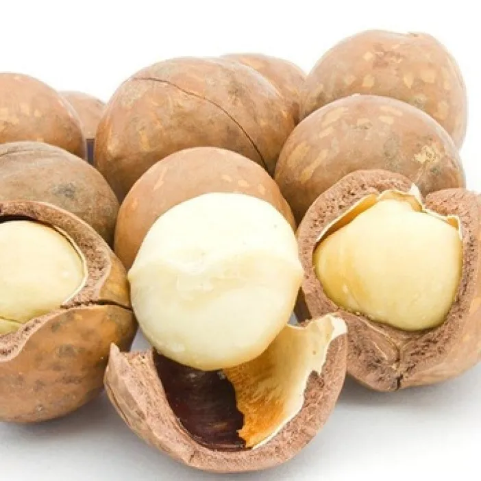  best-selling South Africa Rich nutrition Various size roasted macadamia nuts for sale