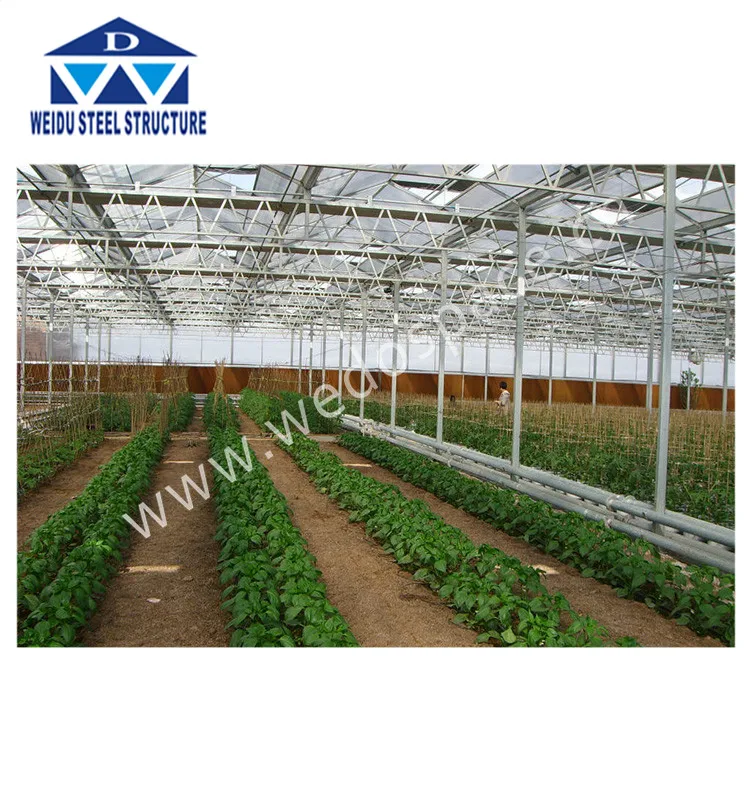 Used Greenhouse Sale Tunnel Greenhouse for Sale Galvanized Steel Frame Greenhouse