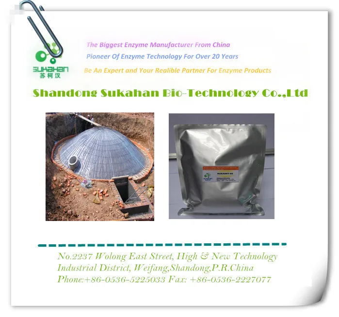 Biogas Fermentation Bacteria ZH-1001 the early stage of biogas fermentation