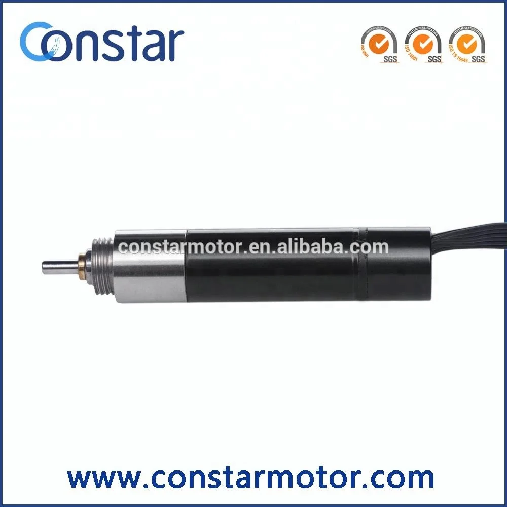 Chinese Supplier Mini 12 volt DC Servo Motor 24v DC Servo Motor Price