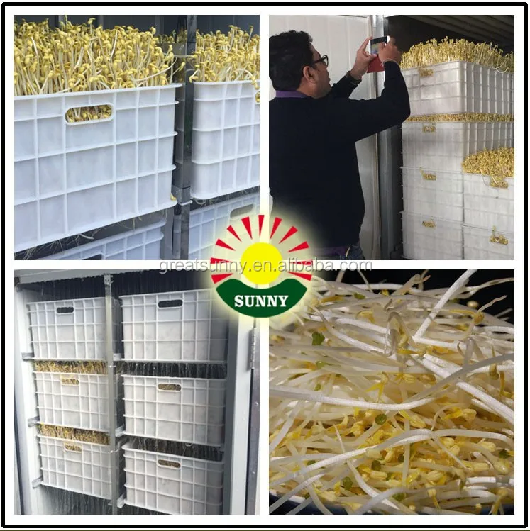 automatic bean sprout growing machine\hydroponics equipment\farm machinery