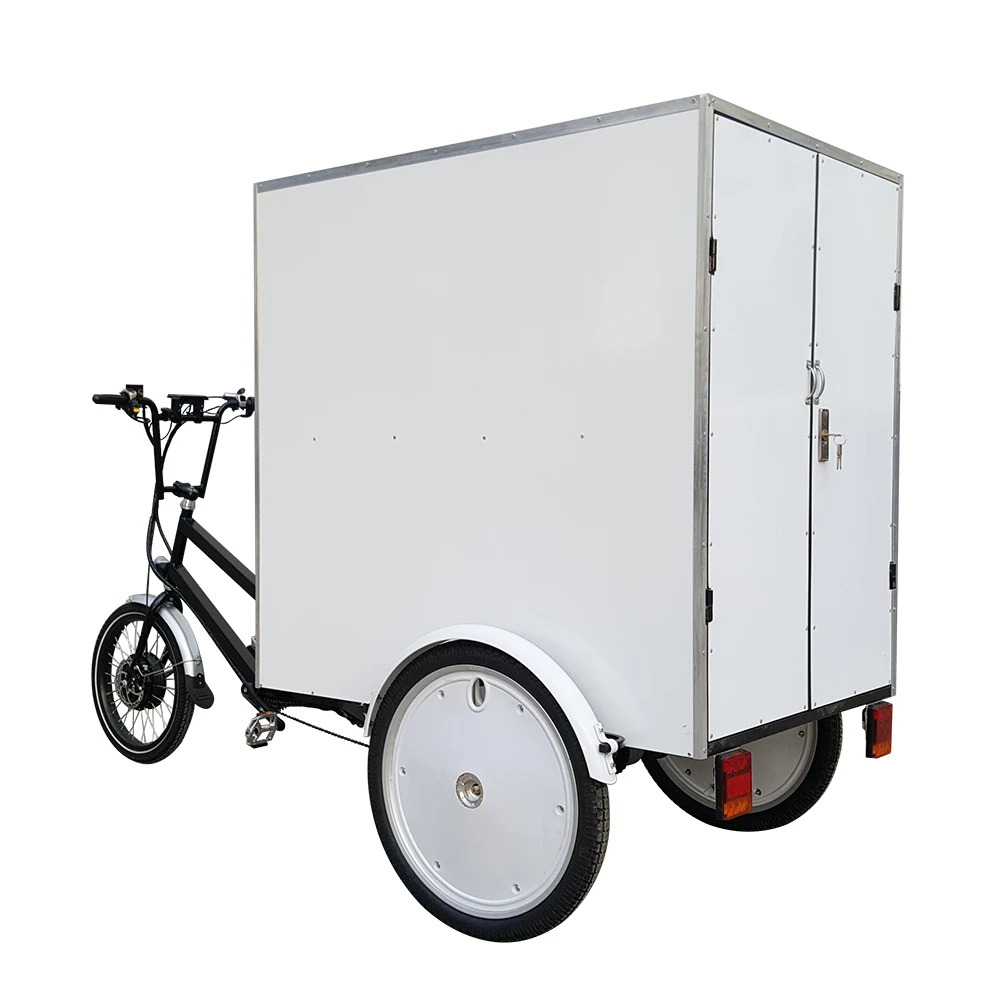 No Tariff MOTRIKE Heavy-duty Cargo Transport 3 Wheel Pedal Assist 500watt Electric Truck Cargo Trike For Sale