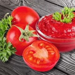 FIC supply Tomato Paste/ketchup/tomato sauce with best quality