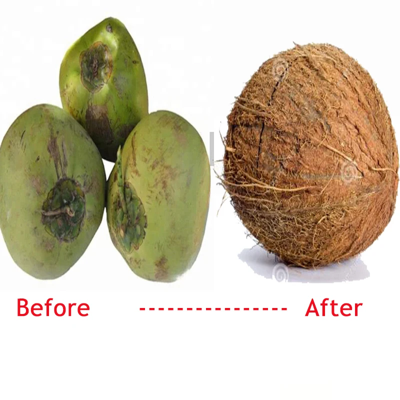 young coconut peeling machine