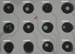 portable x-ray machine SMT pcb x ray inspection machine x6600