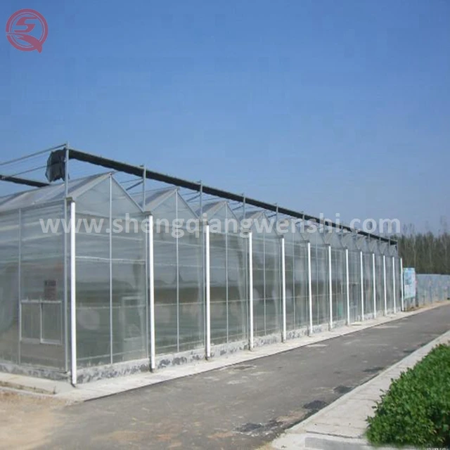 Клубничный поликарбонатный лист для теплиц, сельское хозяйство, зеленый дом