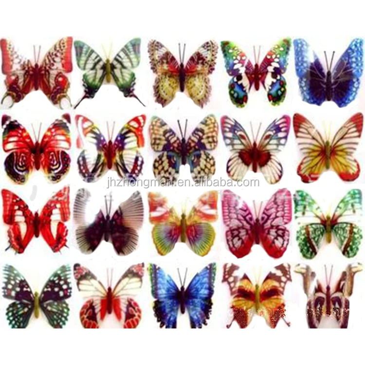 3D Decorative magnet stickers Butterfly shape Fridge stickers