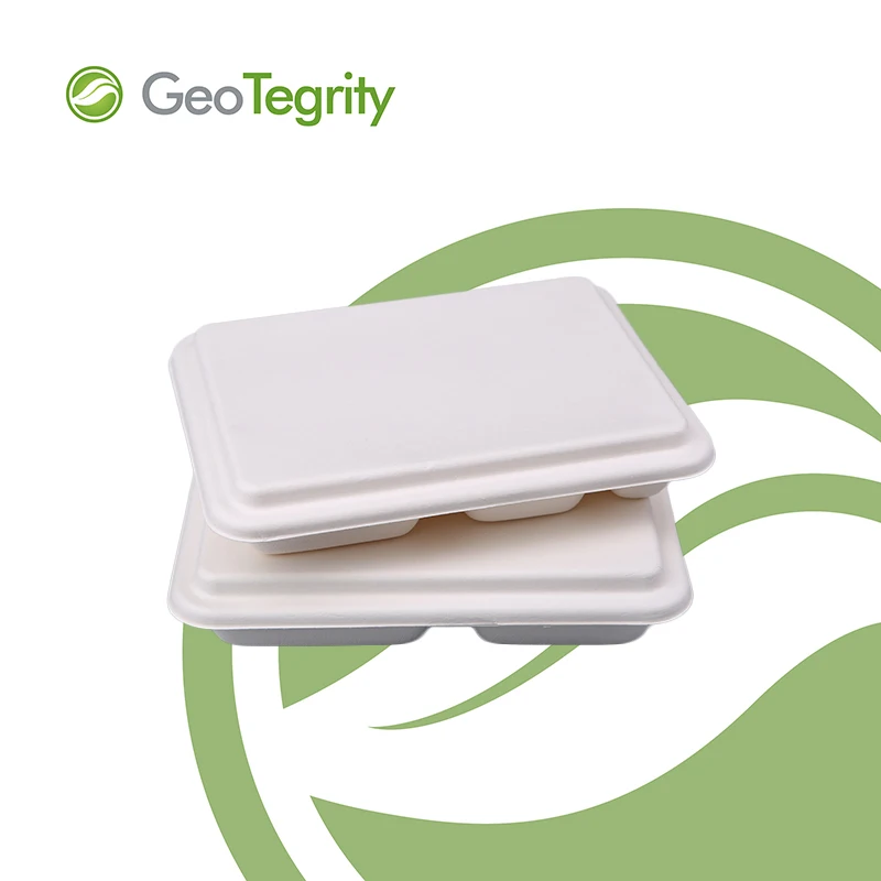 Sugarcane Compostable Supermarket Tray Eco-friendly Trays Supermarket Trays