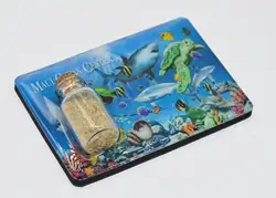 Китайский завод, бутылка для дрифта, туристический сувенир, магнит на холодильник, эпоксидный магнит на холодильник