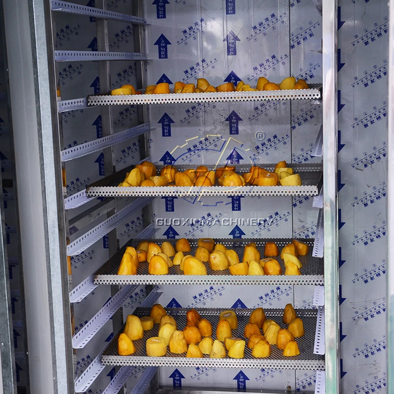 Best price industrial food dehydrator vegetable and fruit drying machine