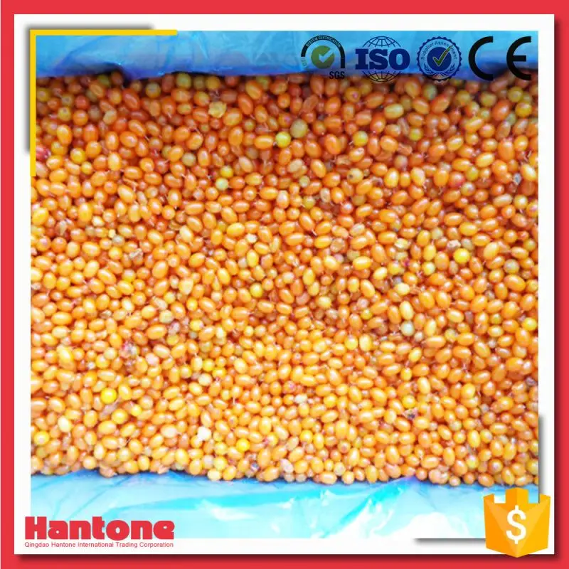 
Frozen Sea Buckthorn Berries Price For Sale 