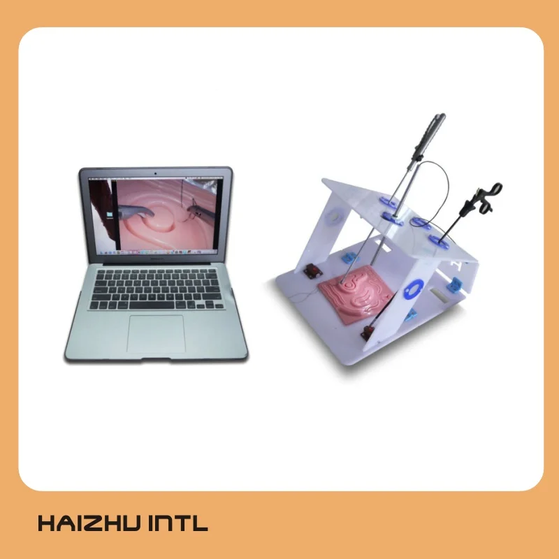 USB Endoscope Camera  for Medical Training Connected with Laparoscopic Endo Trainer
