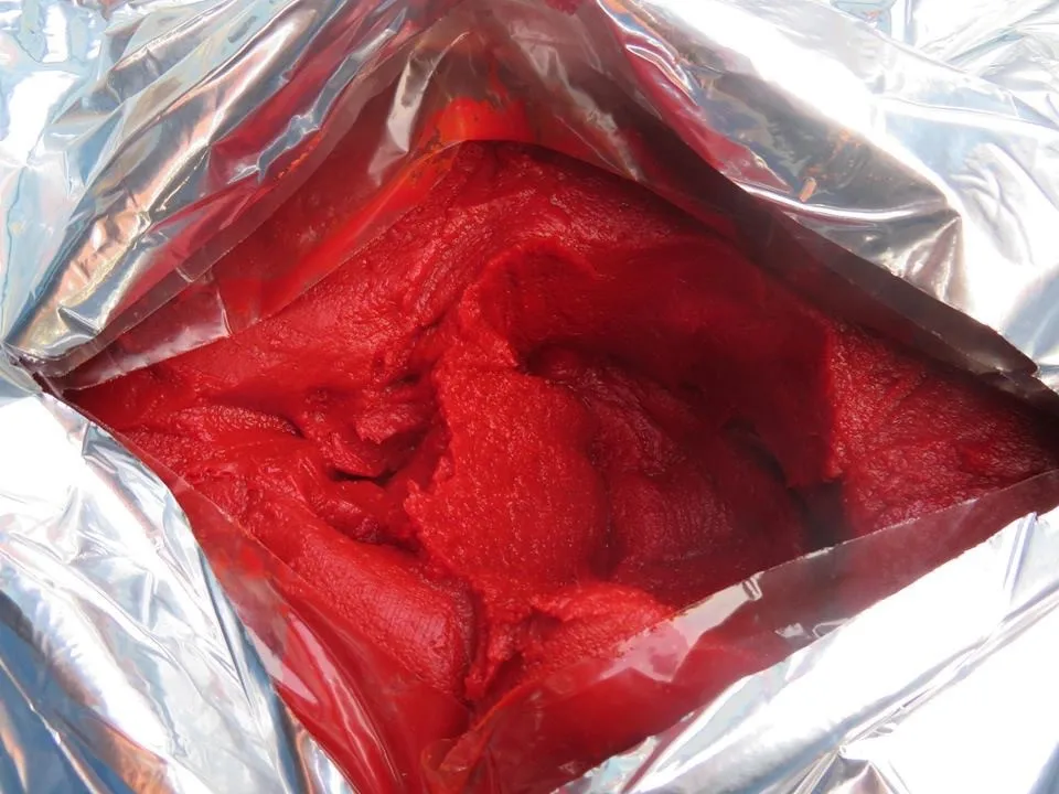 2023 crop of tomato paste sauce 36-38% from experienced plant of china