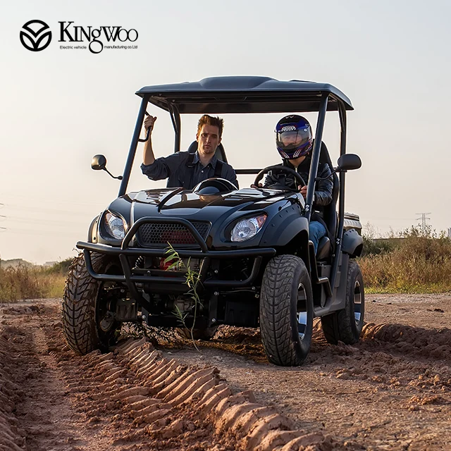 EEC Approved 5000W 4X4 Electric UTV 600cc Type