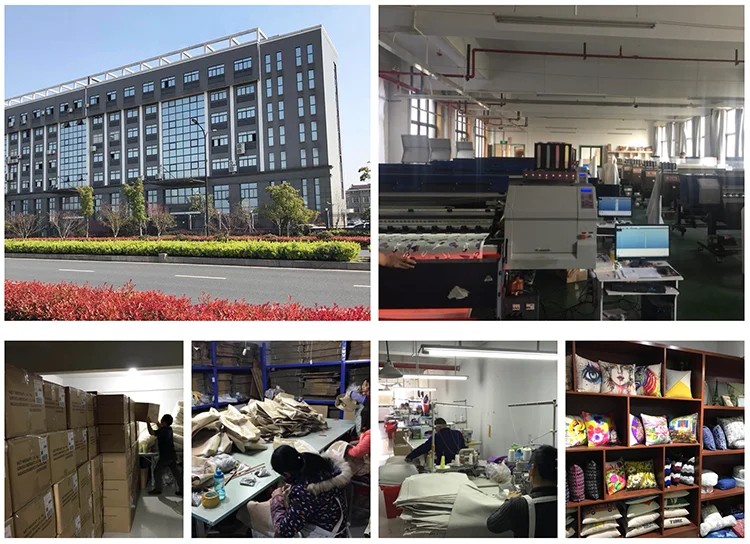 COMPANY INFORMATION.png