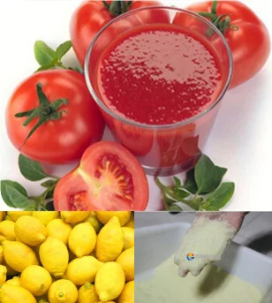 Tomato Paste Making Grinding Machine, Fruit Vegetable Juice Extractor Blender Machine