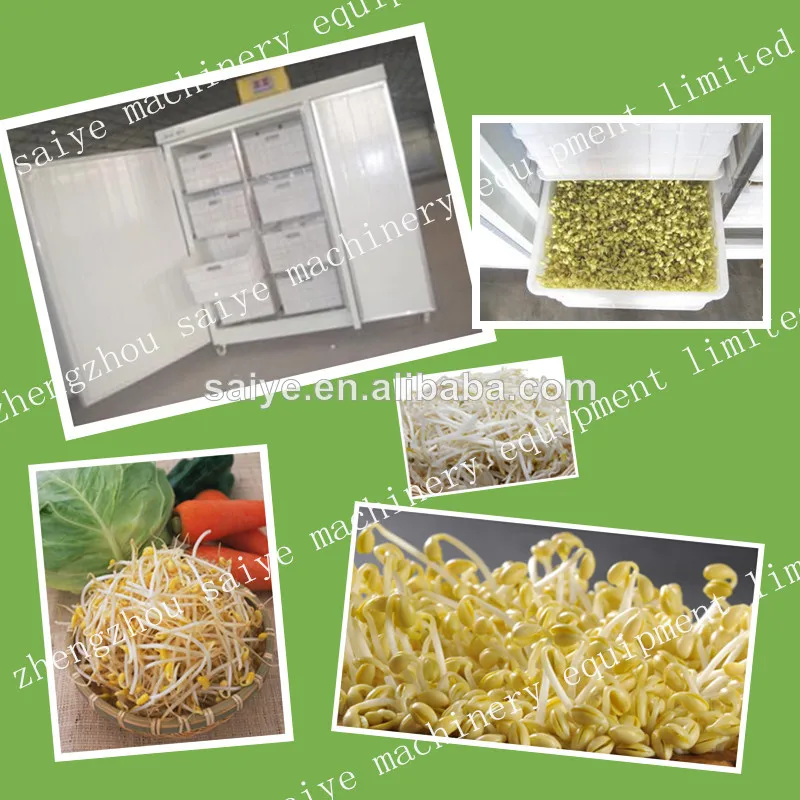 автоматический росток фасоли растущей машины 0086-13298176400