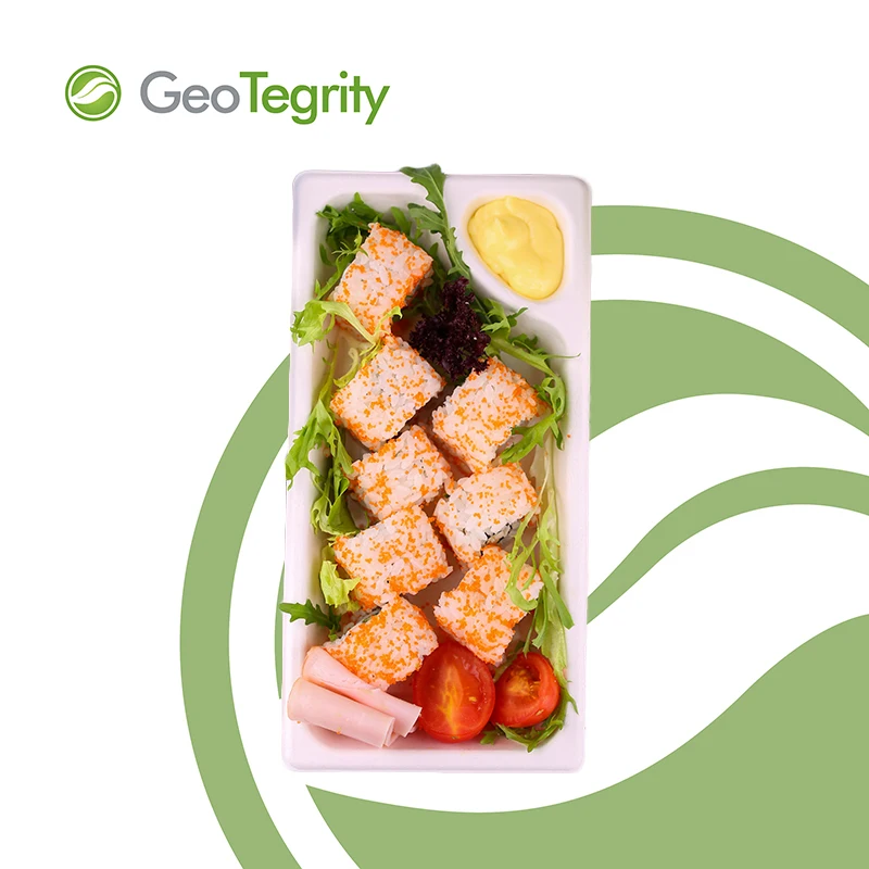 
Sugarcane Disposable round Plate 9' 