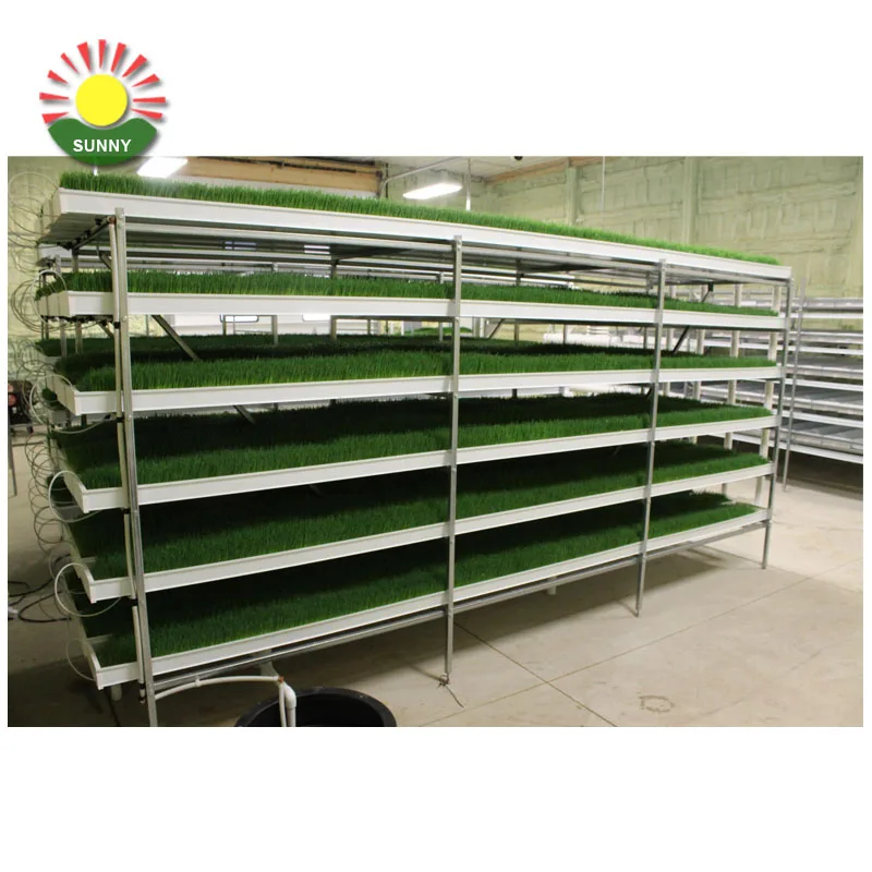 Производитель Гидропонные корма номер Гидропонные корма растущей системы