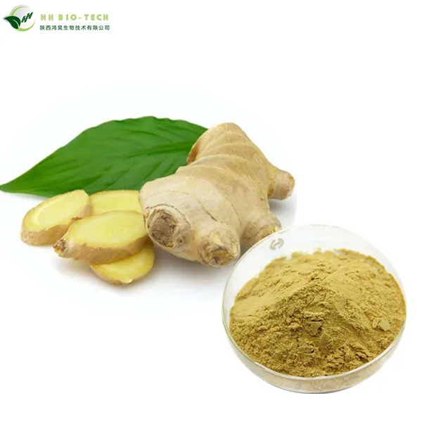 Shampoo Using 5% Gingerols water soluble ginger extract