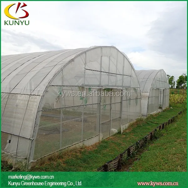 Double Arch roof type tunnel greenhouse round greenhouse bradford greenhouses