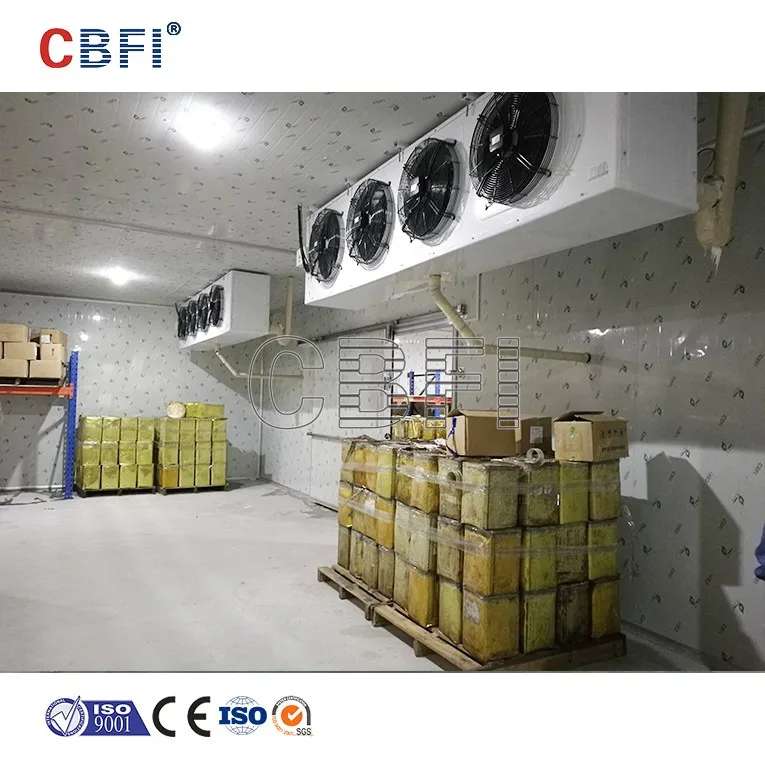 
easy warehouse construction blast deep freezer cold frozen storage room for fish and meat 